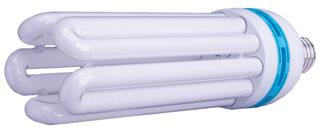 125 W Compact Fluorescent Bulb - Daylight         4000