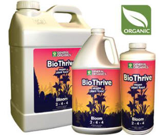 GENERAL ORGANICS BIOTHRIVE BLOOM 726810