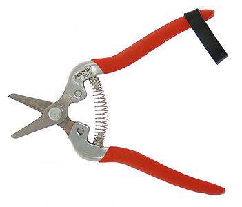 STAINLESS STEEL HARVEST SHEAR WITH SHORT STRAIGHT BLADE H301S