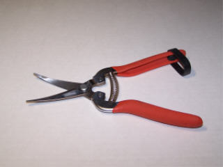 STAINLESS STEEL CURVED SERRATED HARVEST SHEAR #H302SC