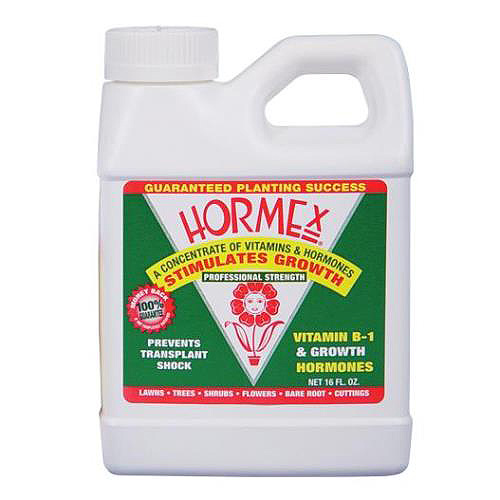 HORMEX CONCENTRATE 726625