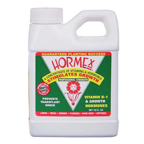 HORMEX CONCENTRATE #726625