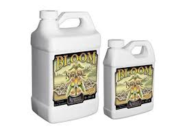 http://www.seedsetc.com/images/HUMBOLDTNATURALBLOOM.jpg