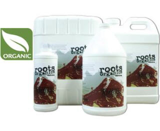 ROOTS ORGANICS ANCIENT AMBER 715065