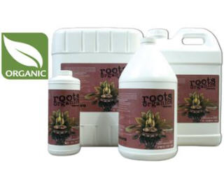 ROOTS ORGANICS BUDDHA BLOOM 715195