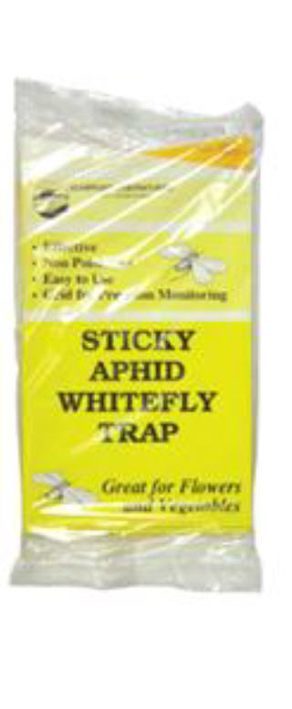 STICKY WHITEFLY TRAPS 5 PACK #704195