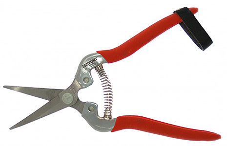 STAINLESS STEEL HARVEST FRUIT SHEAR WITH CURVED BLADE #H300SC