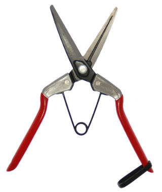 ZENPORT 3 INCH LONG THINNING SHEAR #H308