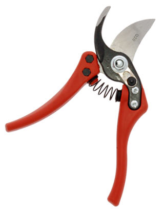 ZENPORT 8 INCH LONG EUROPRO BYPASS PRUNER Q20